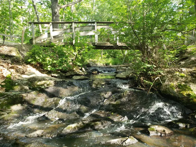 Fore River Sanctuary