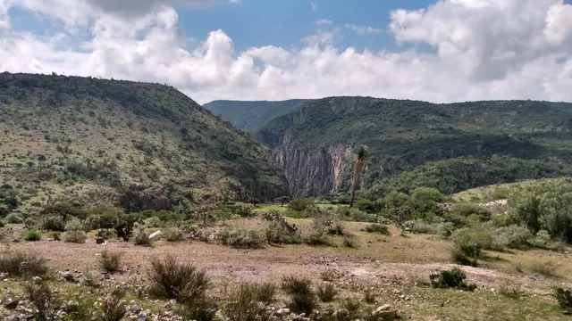 Presa Paso de Vaqueros