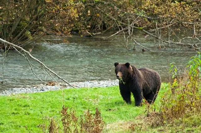 Fish Creek Wildlife Observation Site