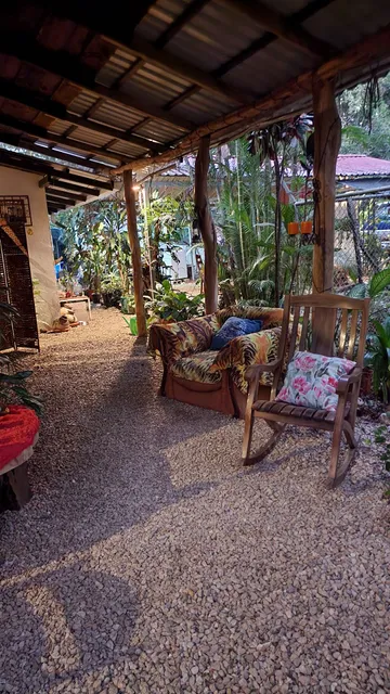 Terra Nostra Jungle House