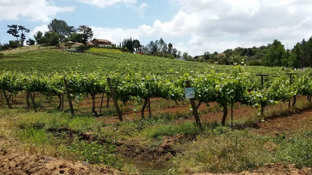 Twin Oaks Valley Winery