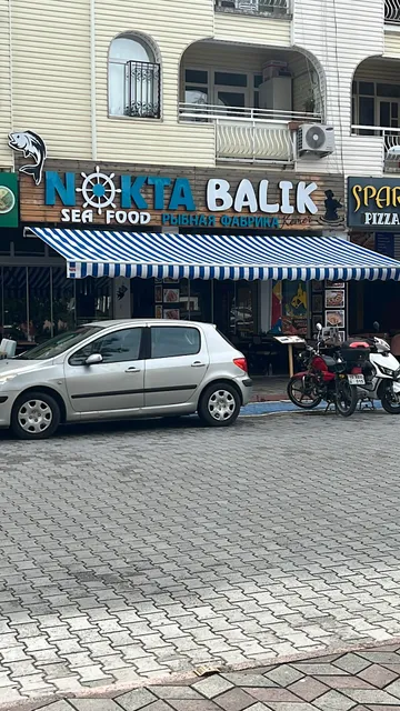 Nokta Balık Kemer