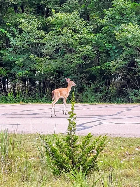 Spring Creek Trail - Integris Trailhead