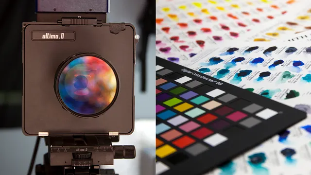 Bellevue Fine Art Reproduction