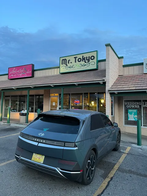 Mr Tokyo Japanese Restaurant