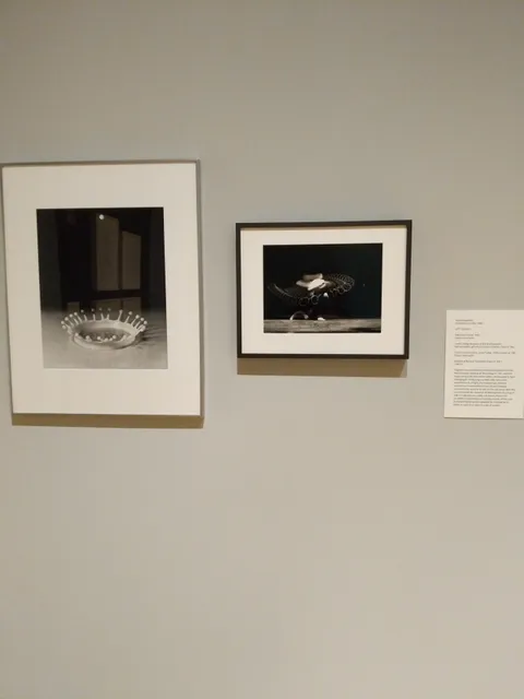 photo-2