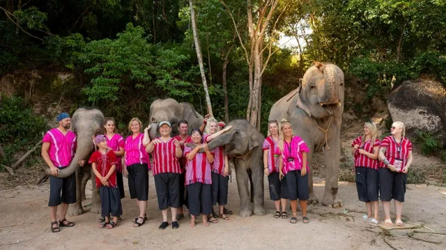 Kerchor​ Elephant​ Family​ Phuket