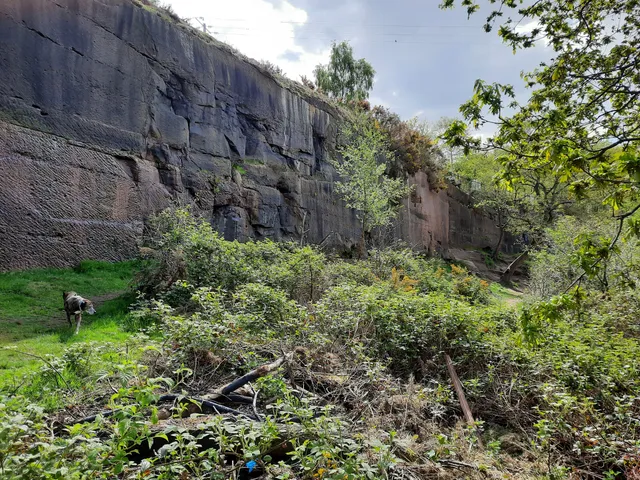 Pex Hill Country Park