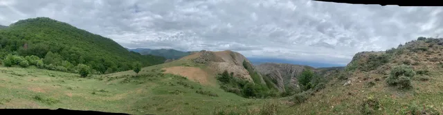 Tejo Milenario de Anguiano