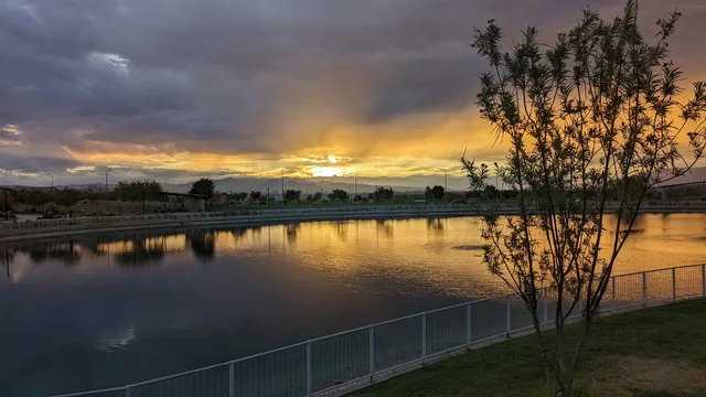 Cadence Central Park