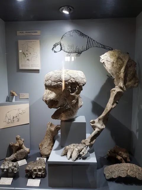 Natural History Museum "Alcide d'Orbigny"