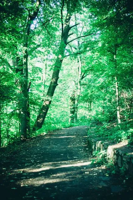 photo-1
