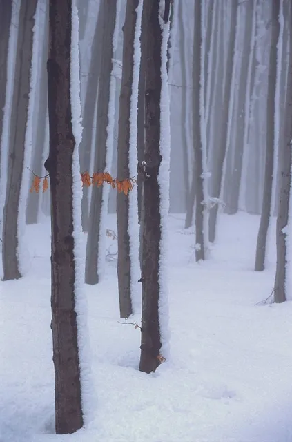 Parco naturale regionale del Beigua