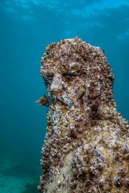 Museo Subacuático de Marsella