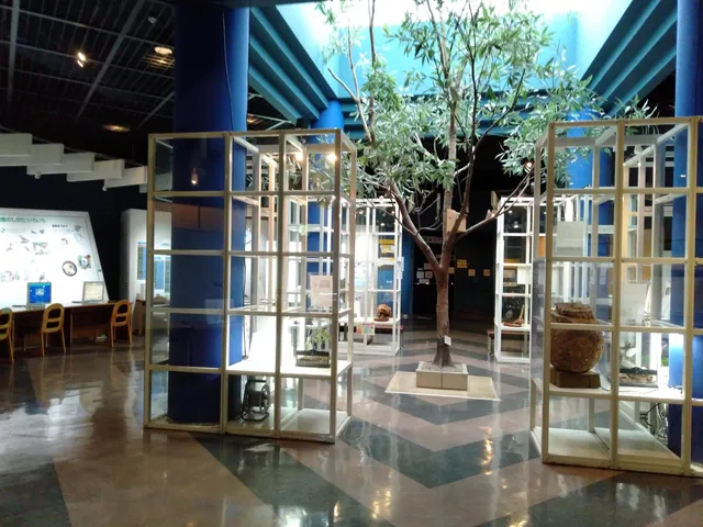 オオヨドガワガクシュウカン