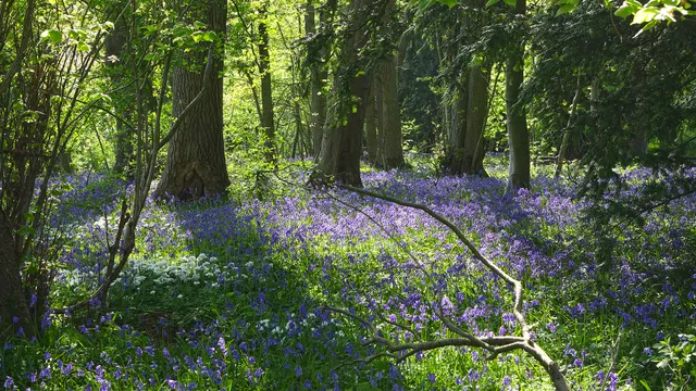 Parc Marguerite Yourcenar