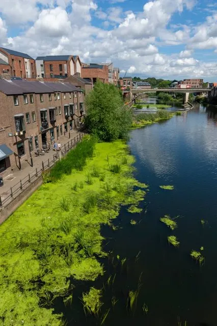 Seat Unique Riverside