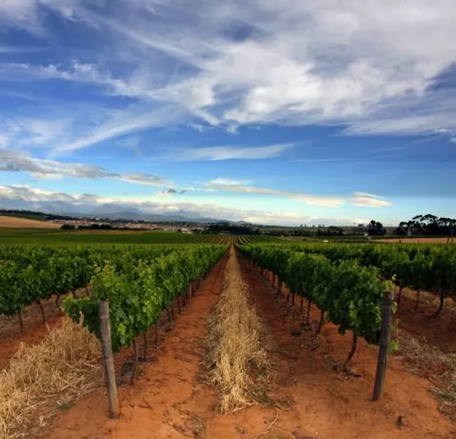 Meerendal Wine Estate