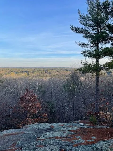 Noon Hill Reservation