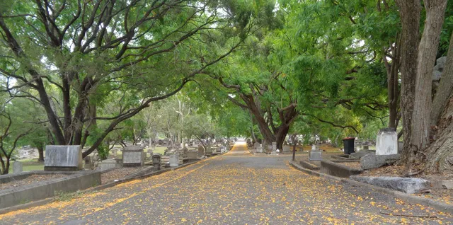Friends of South Brisbane Cemetery