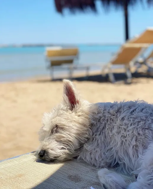 Sabbia D'Oro - Bau Beach
