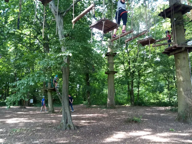 Chichoune Accroforest