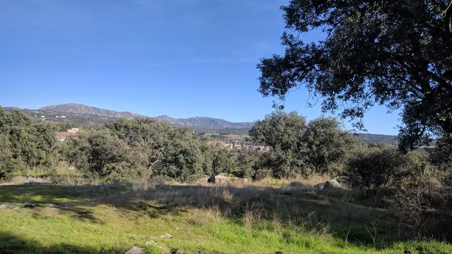 El Coto De Las Suertes