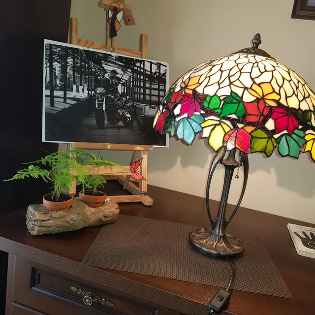 Pod Arkadami. Galeria