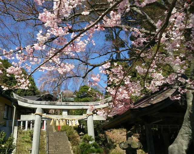 Tatekoshi Shrine