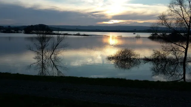 Polder I im Hochwasserrückhaltebecken Salzderhelden