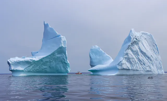 Whaler's Quest Ocean Adventures Inc