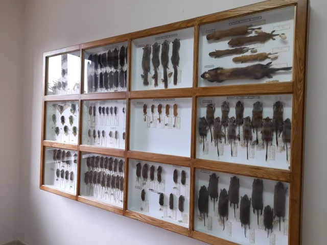 Museo della Biodiversità