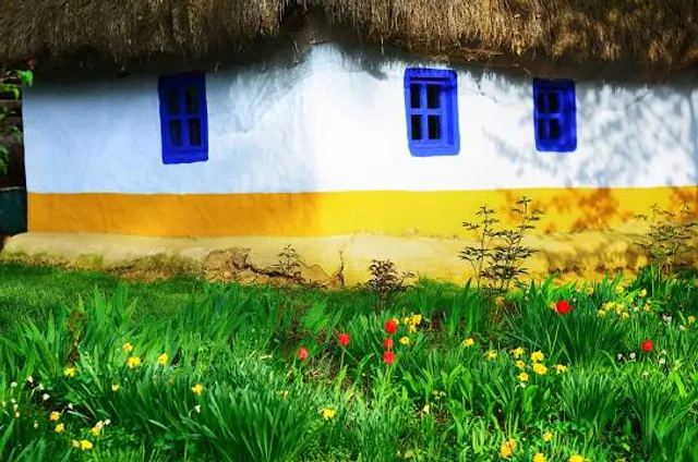 Петриківська селищна громада