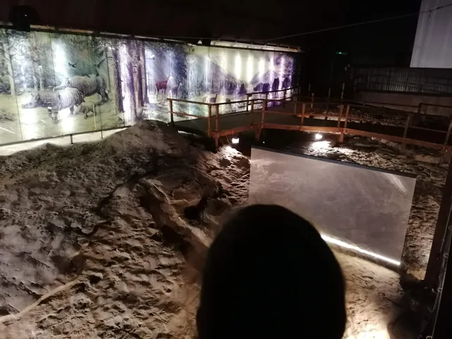 Geológiai tanösvény