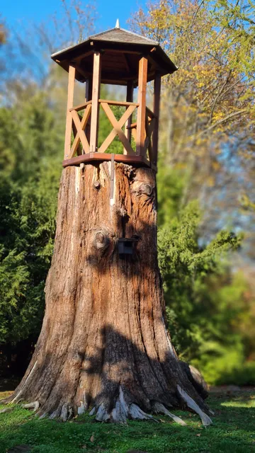 Szépalma arborétum