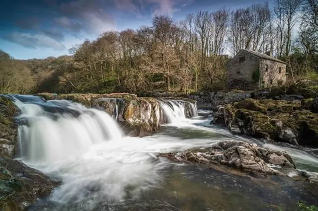 Cenarth Falls