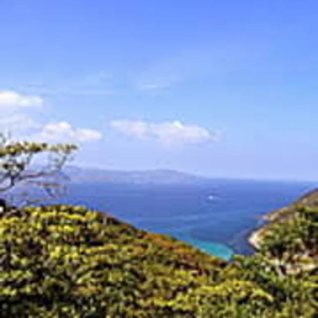 Takushima Island