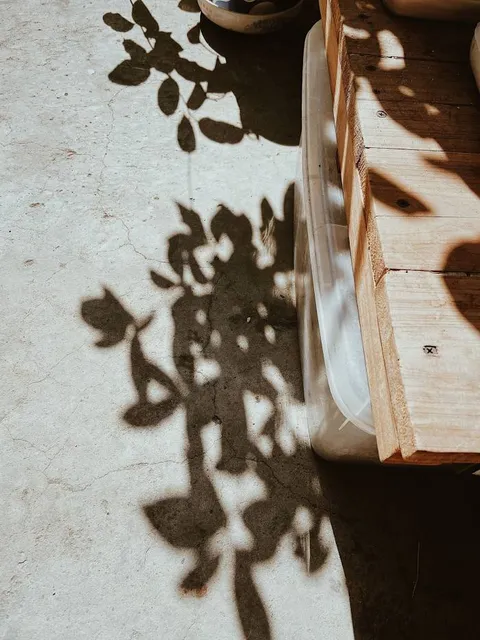 Prince Józef Poniatowski Park