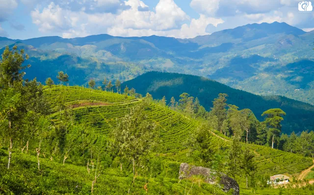 Hatale Mini World's End