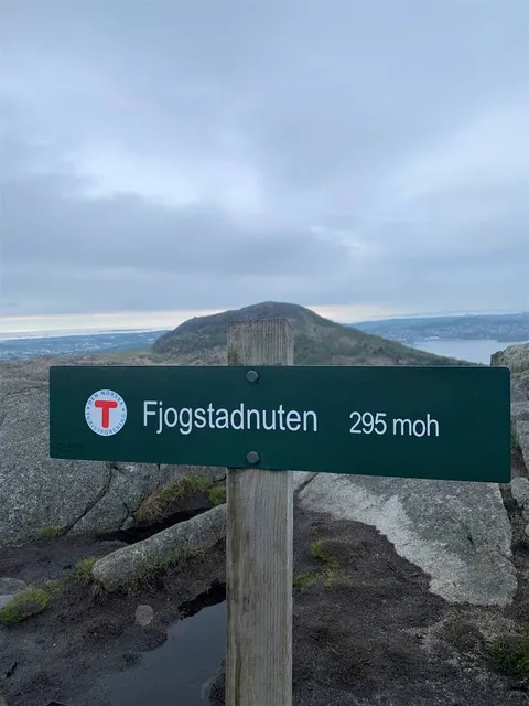 Fjogstadnuten