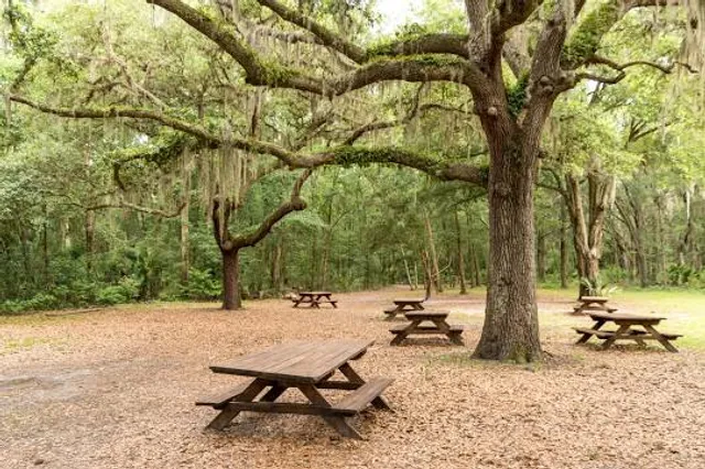 Jacksonville Arboretum & Botanical Gardens