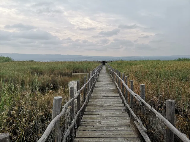 Reserva Natural Estatal Lago de Lesina (Parte Oriental)