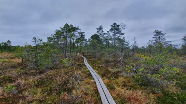 Florarna naturreservat