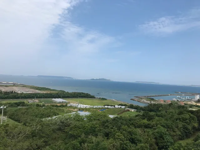 Wild Bird Natural Forest Park