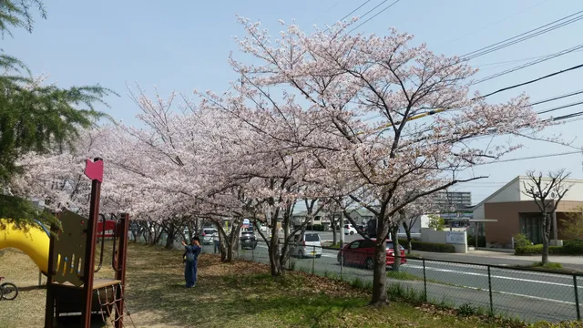 Sakurajima Park