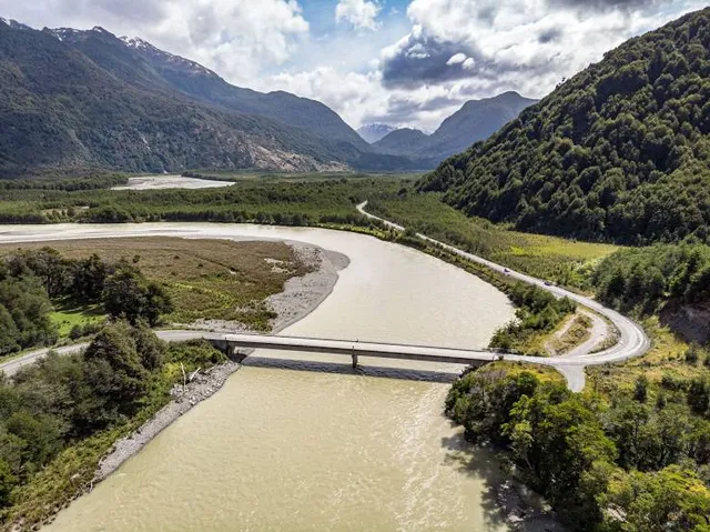 Mangrove Primeval Forest