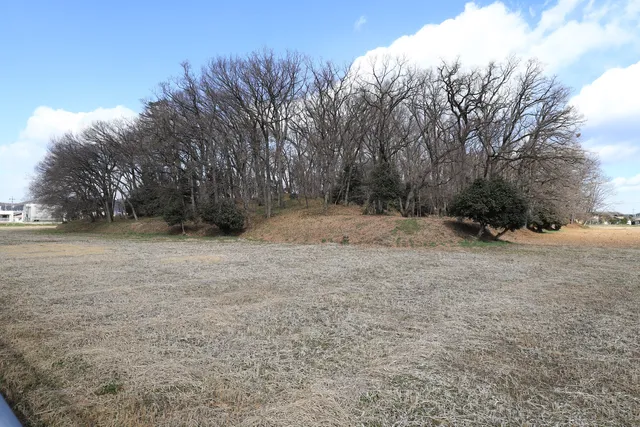 photo-2