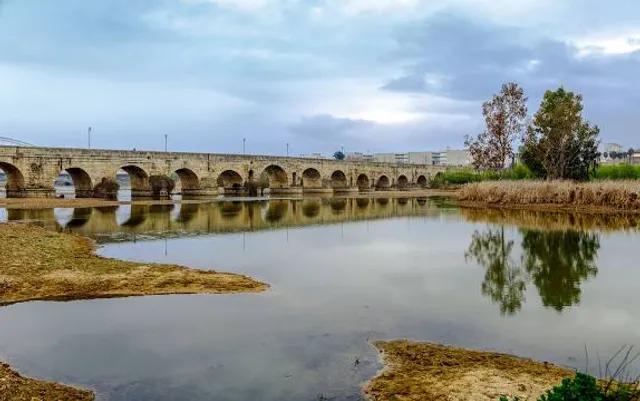 Puente romano de Brandomil