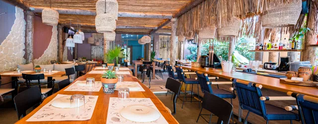 The Yard, All Day Habit