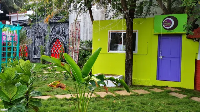 The Coconut Factory - TCF